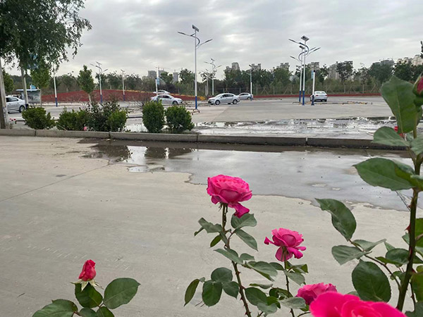 長(zhǎng)城駕校風(fēng)采