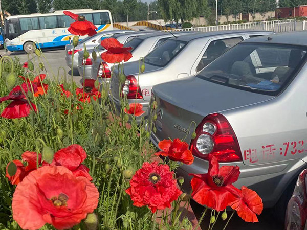 梁山駕校學(xué)車(chē)風(fēng)采